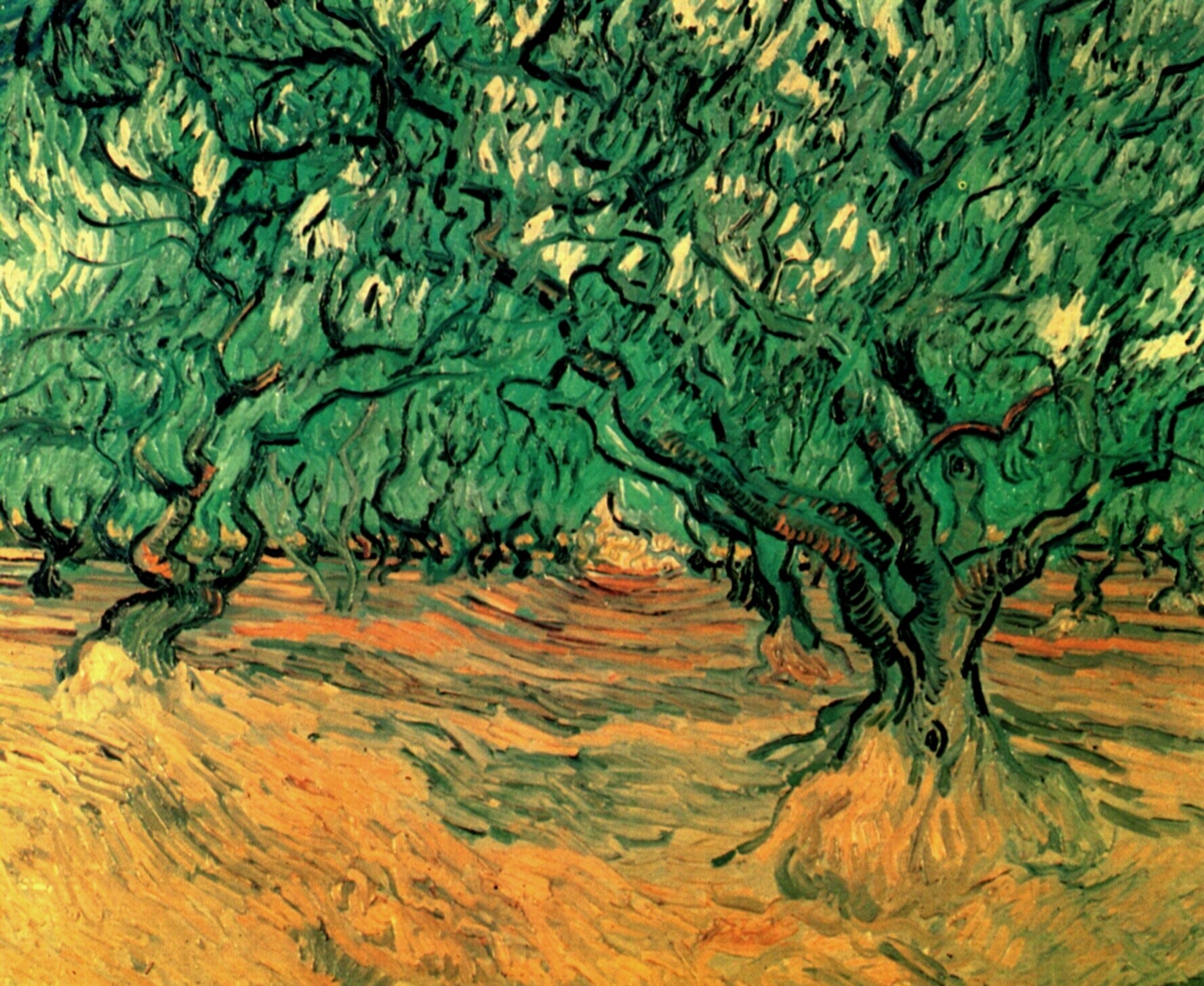 Картина Ван Гога Оливковые деревья 1889